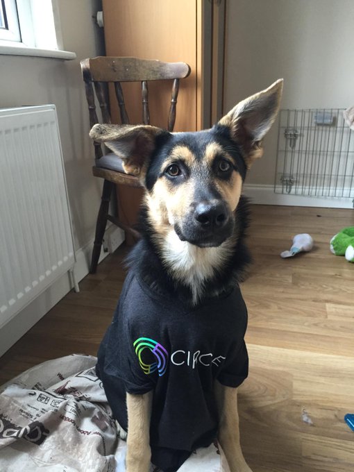 A dog wearing a black "CIrcle" t-shirt sits attentively on the floor of a home, with an Ethereum address (0xcb7b01a2e0c74eb3b73ffb31a75419051043b47a) and a 170k market cap reference tying the image to a $AROS meme token community post.