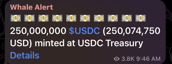 The image is a Whale Alert notification showing that 250,000,000 $USDC (250,074,750 USD) was minted at the USDC Treasury, signaling a major liquidity addition to the Solana network.