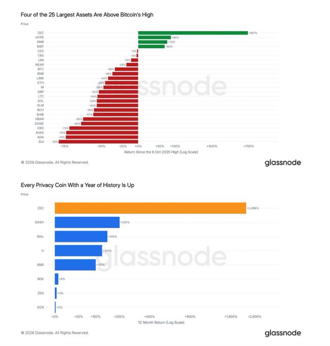 Two charts from Glassnode showing cryptocurrency performance; the top chart displays 'Four of the 25 Largest Assets Are Above Bitcoin's High' led by ZEC (+567%), and the bottom chart titled 'Every Privacy Coin With a Year of History Is Up' highlights ZEC's massive 2,496% return.