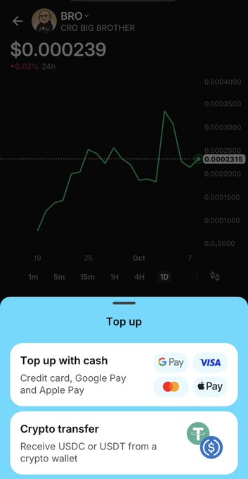 A screenshot of a crypto portfolio app displaying the price of BRO (Cro Big Brother) at $0.000239, up 0.02% over 24 hours, with options to top up via cash or crypto transfer at the bottom.