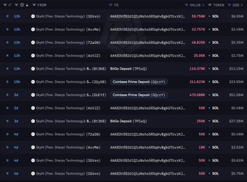 The image displays a wallet tracker showing recent transactions of 1,000,000 SOL ($107.5M) being deposited to Binance Prime and Bybit in 10 transactions of 100,000 SOL each, supporting the post's claim of "SkyAI" selling off its Solana holdings to fund stock buybacks after taking a $160M loss.