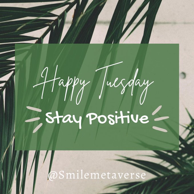 A motivational graphic with a green tropical leaf background reads 'Happy Tuesday - Stay Positive' with the handle '@Smilemetaverse' at the bottom.