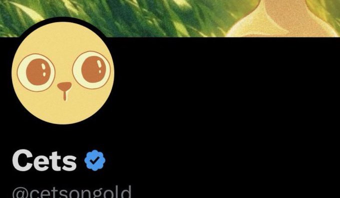 A social media profile shows a cartoon yellow cat-like face avatar with large eyes, the name 'Cets' with a blue verification checkmark, and the handle '@cetsongold' displayed below.