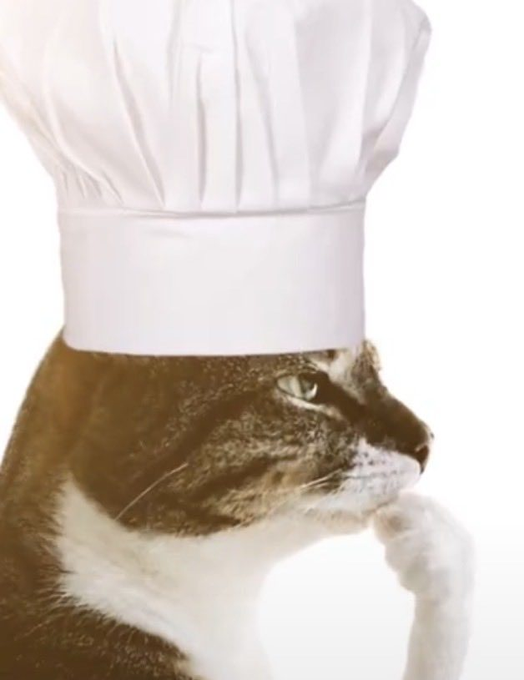 A sepia-toned photograph of a tabby and white cat wearing a tall, white chef's hat, posed thoughtfully with its paw near its face against a plain white background.