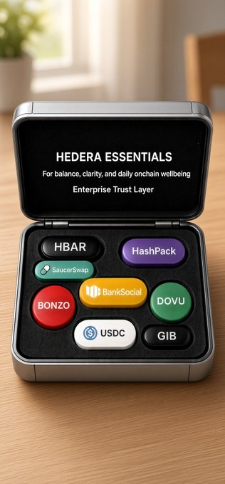 A metallic case labeled "HEDERA ESSENTIALS - For balance, clarity, and daily onchain wellbeing - Enterprise Trust Layer" contains various crypto tokens including HBAR, HashPack, SaucerSwap, BONZO, BankSocial, DOVU, USDC, and GIB.