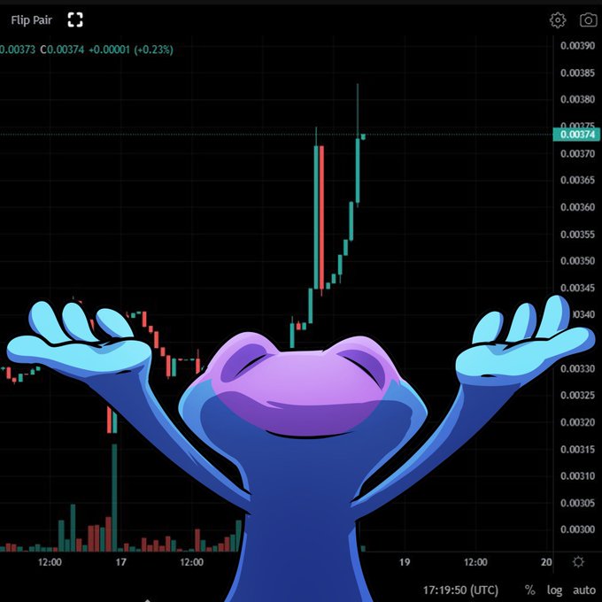 The image shows a candlestick chart of the SNEK token with the ticker "Flip Pair" visible, displaying a sharp price spike to around $0.00374 (a 0.23% gain) overlaid with an excited frog cartoon shrugging—visually emphasizing the surprise and enthusiasm about SNEK's unexpected ~700M marketcap surge to top 15 meme coin status on Cardano, as highlighted in the caption.