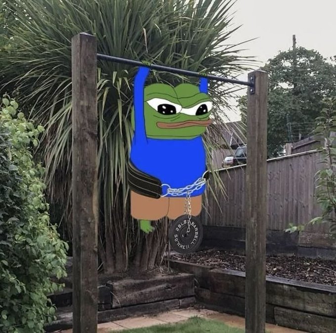 A Pepe the Frog cutout hanging from a pull-up bar in a garden, wearing a blue tank top and chains, with a weight plate dangling below.