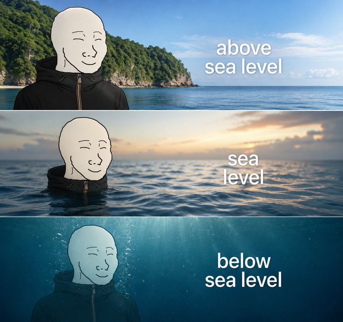 A three-panel meme using the 'NPC Wojak' face edited onto a person at a beach, depicting him above sea level, at sea level, and below sea level.