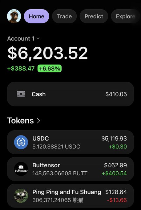 A crypto portfolio dashboard shows a total balance of $6,203.52 with a +$388.47 (+6.68%) gain, highlighting $462.99 held in "Buttensnor" (BUTT) tokens contributing +$400.54 to the day's profits, consistent with the post about putting winnings into the "butt token."