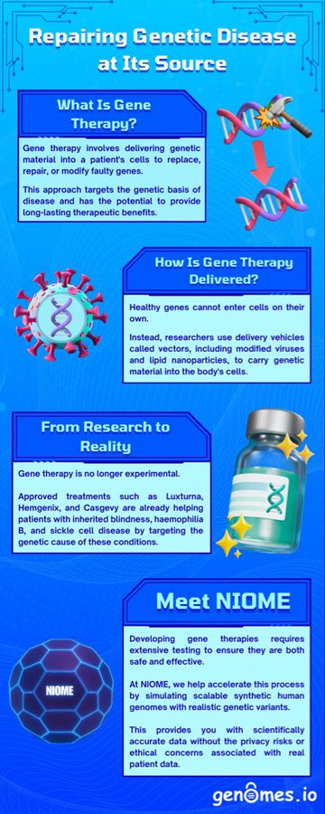 An infographic titled "Repairing Genetic Disease at Its Source" explains gene therapy concepts—defining it, describing delivery via viral/lipid nanoparticle vectors, listing approved treatments (Luxturna, Hemgenix, Casgevy), and introducing NIOME, which provides scalable synthetic human genomes via "genomes.io" to enable safe, ethically sound gene therapy research.