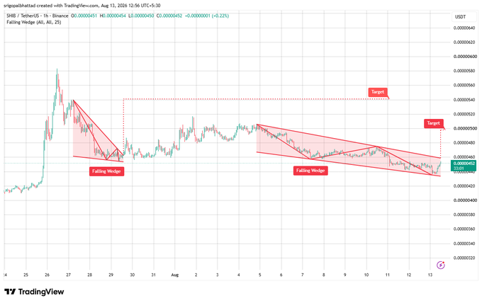 TradingView chart for SHIB/USDT on Binance showing 'Falling Wedge' technical patterns with target price projections, dated August 13, 2025.