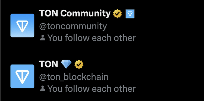 A Twitter/X profile list showing 'TON Community' (@toncommunity) and 'TON' (@ton_blockchain), both verified accounts with the note 'You follow each other'.