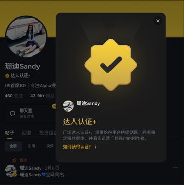 Social media profile of 珊迪Sandy (U9雪枫BI) with a yellow verification badge popup indicating '达人认证+' status, showing 460 followers and 43.9K likes.