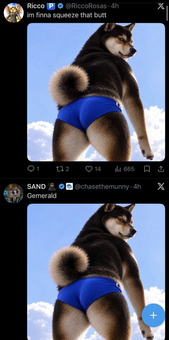 Two Twitter/X posts from users @RiccoRosas ("im finna squeeze that butt") and @chasethemunny ("Gemerald") show nearly identical AI-generated images of a Shiba Inu dog wearing tight blue shorts, viewed from behind against a cloudy sky.