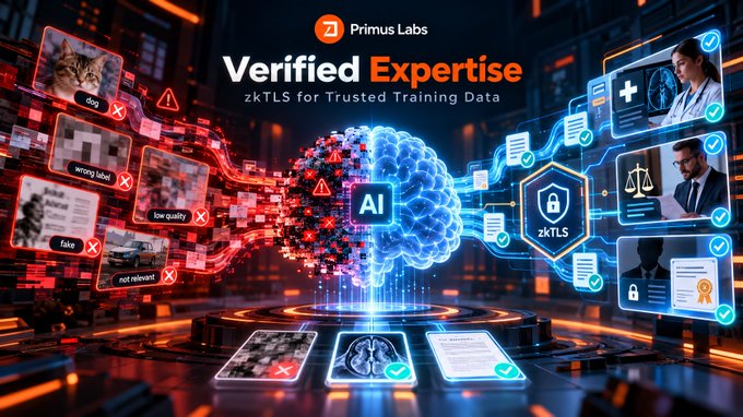 A promotional graphic for 'Primus Labs' titled 'Verified Expertise' describes zkTLS for trusted training data, showing an AI brain filtering out bad data (e.g., 'dog' labeled 'cat') while accepting medical and certified credentials.