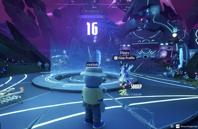 A video game screenshot shows a character named 'veetek' standing in a glowing blue and purple virtual environment, with text indicating 'Worldstone LEVEL UP 16' and 'Dippy View Profile' nearby.