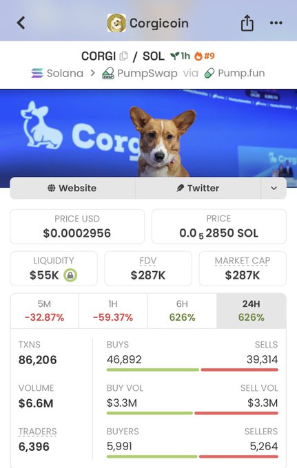A cryptocurrency trading app screenshot showing Corgicoin (CORGI/SOL) on PumpSwap via Pump.fun, priced at $0.0002956 with $55K liquidity and $287K market cap.
