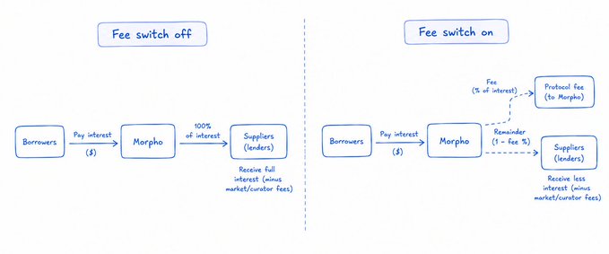 A diagram comparing 'Fee switch off' and 'Fee switch on' scenarios, showing the flow of interest payments from Borrowers to Morpho to Suppliers (Lenders), with the 'on' version showing a protocol fee of 5% sent to Morpho.