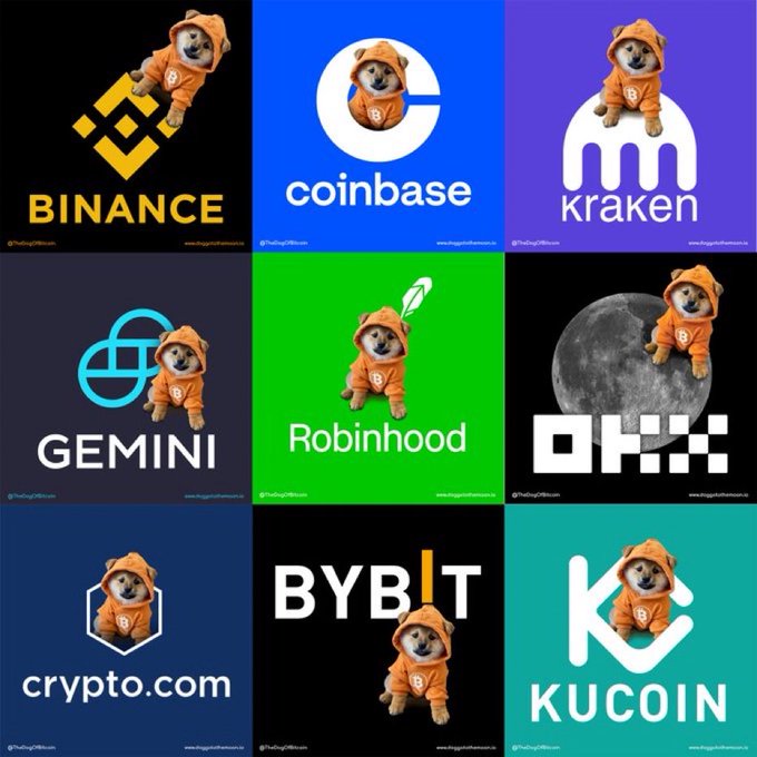 A 3x3 grid meme featuring a Shiba Inu dog in an orange hoodie posed alongside logos of major cryptocurrency exchanges: Binance, Coinbase, Kraken, Gemini, Robinhood, OKX, crypto.com, Bybit, and KuCoin.