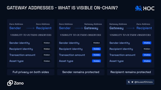 An informational graphic titled 'GATEWAY ADDRESSES - WHAT IS VISIBLE ON-CHAIN?' from HOC and Zano, explaining transaction visibility through three diagrams showing how sender and recipient identities, amounts, and asset types are hidden or visible at different stages.