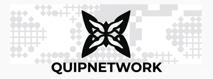 A black and white logo featuring a stylized fox face with the text 'QUIPNETWORK' below it, surrounded by a faded background of dots and geometric patterns.