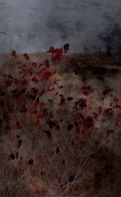 A moody, dark photograph of dried plants and seed pods in a field, with a small town silhouette visible on the distant horizon under a gloomy, overcast sky.