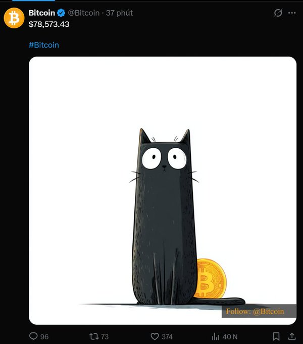 The image shows an official Bitcoin tweet displaying a cartoon illustration of a black cat sitting next to a gold Bitcoin coin, with the current Bitcoin price of $78,573.43 listed at the top. The whimsical post playfully promotes a new concept called "BICAT," combining Bitcoin with cats, and shares a wallet address (0x7d1a8dbb40b7b5518ef69b93a6faeba91eea7777) for this lighthearted meme campaign.