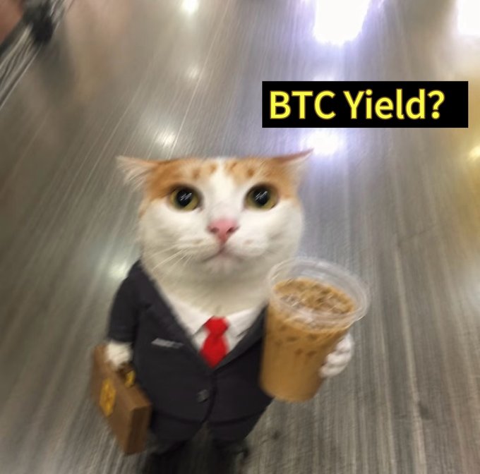 A serious-looking cat in a business suit holding a briefcase and an iced coffee looks up inquisiously, with the text "BTC Yield?" displayed in the corner—visually echoing the post's question about Binance Earn's BTC Yield product, where users can simply subscribe with BTC and redeem for BTCY as a hands-off yield strategy.