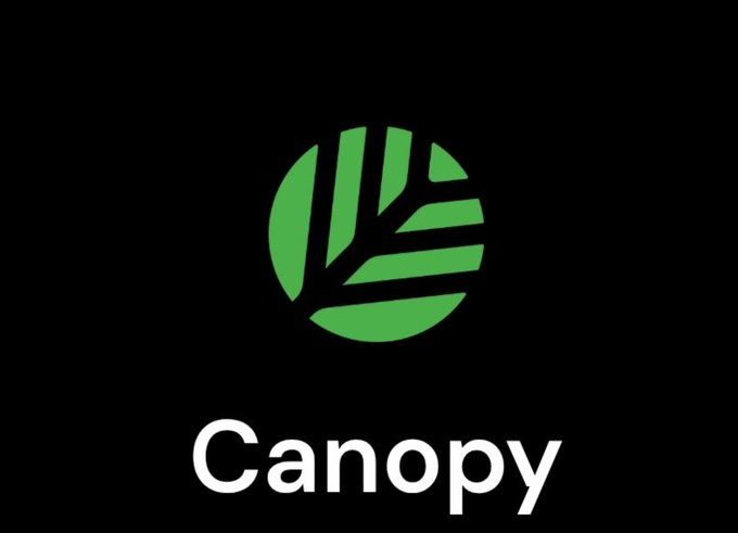 The image features a logo for Canopy, which is a company focused on creating canopy solutions. The logo consists of a green leaf design surrounded by white lines, symbolizing the structure and support provided by canopies. The text "Canopy" is written in white below the logo, indicating that this is the name of the company. The image also includes a caption that reads "Good Evening gCNPY A lot of crypto projects talk about the future. Very few actually build it. Canopy is doing exactly that. The launch of its Layer 1 Launchpad Testnet is more than just another milestone it' s proof that the vision is becoming reality". This text emphasizes the importance and impact of Canopy's work in the world of cryptocurrency, highlighting their role as a leader in the industry.