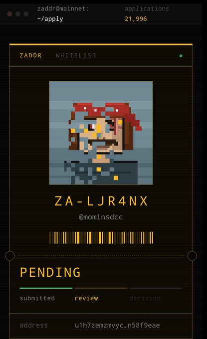 A ZADDR WHITELIST application page showing a pixel art portrait with the identifier 'ZA-LJR4NX' and '@mominsdcc' as the handle, with status shown as PENDING at the review stage.