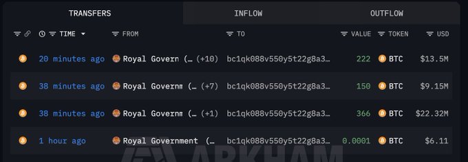 The image features a table with the title "Transfers", and several columns of text, including rows titled "Inflow", "Royal Government (Inflow)", and "Royal Governmement". The first column is for inflows from transactions involving Bitcoins, while the second row presents the different government bodies involved in the flow. The third row contains information about the inflow amount in Bitcoin terms. The image does not provide any additional context or background to this data.