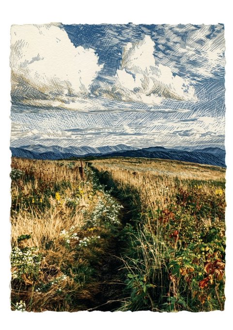 An artistic illustration of a grassy path through a meadow with wildflowers, leading toward distant mountains under a cloudy blue sky.