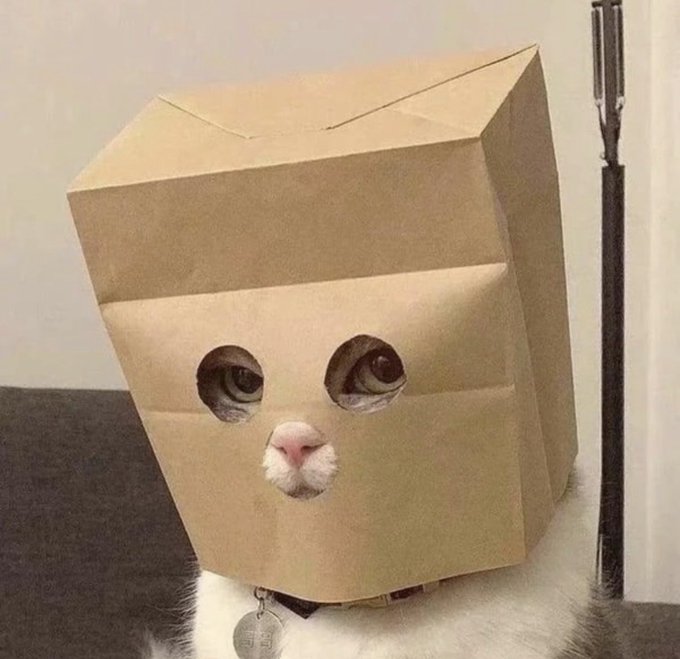 A gray and white cat with a brown paper bag over its head, with holes cut out for its eyes and nose.
