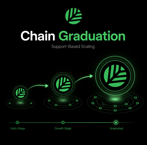 An infographic titled 'Chain Graduation - Support-Based Scaling' shows three green leaf logos progressing from Early Stage to Growth Stage to Graduated.
