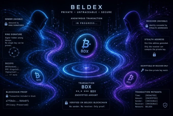 A promotional infographic for 'BELDEX' (BDX) cryptocurrency highlighting its features: 'PRIVATE • UNTRACEABLE • SECURE' with sections for 'SENDER (INVISIBLE)', 'RECEIVER (INVISIBLE)', 'RING SIGNATURE', 'STEALTH ADDRESS', 'DECOYS', 'BLOCKCHAIN PROOF', and 'ANONYMOUS TRANSACTION IN PROGRESS...'