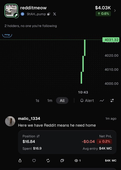 A mobile trading interface shows the token "redditmeow" (9tAH...pump) at $4.03K, up 0.6%, with only 2 holders and no followers. A chart displays a sharp green candle reaching 4031.32, while a comment from user "malic_1334" jokes "Here we have Reddit means he need home," tying into the post's playful call to "find him a home."