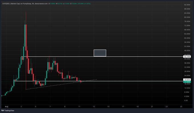 The image shows a TradingView 4-hour candlestick chart for CATE/USD on PumpSwap, with the price at $13.245 and down 5.33% (-$0.7476), displaying a recent range-bound consolidation between approximately $13 and $39 levels. The accompanying caption aligns with the chart by noting the token's tight ranging action, suggesting accumulation while expressing confidence it won't break below the visible support zone.