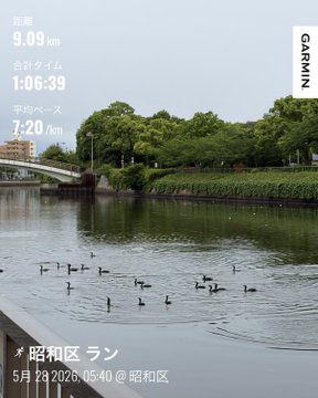 The image shows a group of ducks swimming in a river, with trees lining the water's edge. The scene appears to be set during the day under an overcast sky. A postcard or poster featuring this picturesque view can be seen on display, possibly for sale at a market. The text on the postcard includes Japanese characters and numbers that may represent the time of day or location.