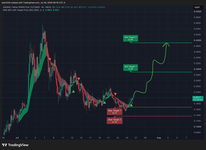 This TradingView 4-hour chart of ANSEM/USDT Perpetual Futures shows a bullish technical setup with green arrows pointing toward upside targets of 0.29 (Target 1) and 0.39 (Target 2), while bear targets sit lower at 0.17 and 0.14—visually reinforcing the "green arrow means GO" sentiment for a long position above $0.20.