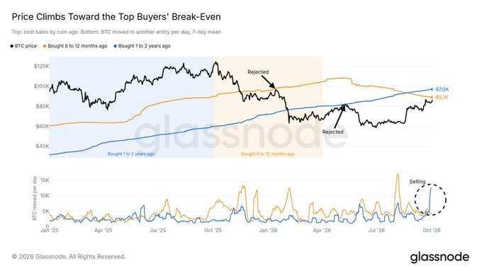 A Glassnode visualization tracks the cost basis of two Bitcoin investor cohorts, showing 6-12 month buyers at $89.3K and 1-2 year buyers at $97.0K, with the BTC price recently rejecting near these break-even levels. The lower panel highlights increased BTC transfers per day from the 6-12 month cohort, suggesting selling pressure as the price approaches their underwater cost basis.