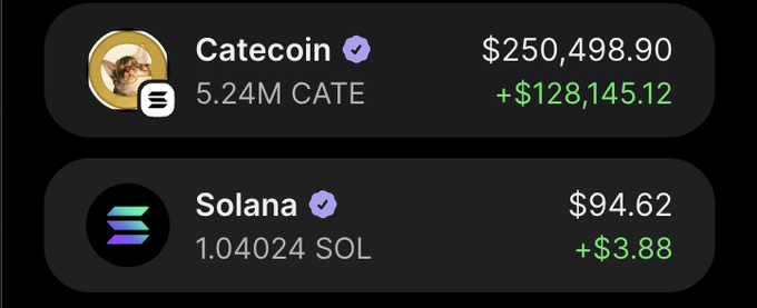 A crypto wallet interface displays holdings of Catecoin (5.24M CATE valued at $250,498.90, up $128,145.12) and Solana (1.04024 SOL valued at $94.62, up $3.88). The image visually supports the "15$ ga" post by showcasing modest crypto portfolio gains, with the Catecoin position notably outperforming the smaller Solana holding.
