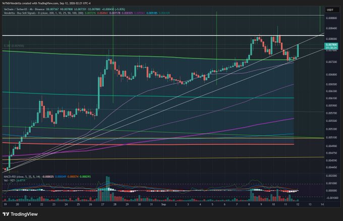 A TradingView candlestick chart showing VeChain (VET/USDT) price action with various moving averages and the MACD indicator visible at the bottom.