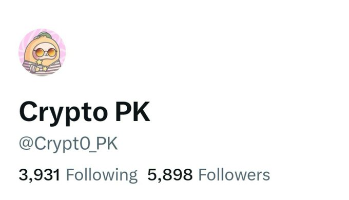 A social media profile for 'Crypto PK' with handle @CryptO_PK, showing a sloth avatar, 3,931 following, and 5,898 followers.