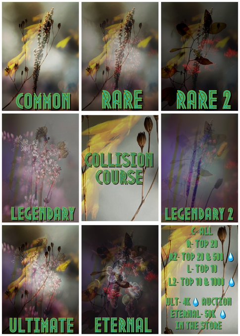 A 3x3 grid of plant and flower photographs labeled with rarity tiers: 'COMMON', 'RARE', 'RARE 2', 'COLLISION COURSE', 'LEGENDARY', 'LEGENDARY 2', 'ULTIMATE', 'ETERNAL', and a final panel listing in-store pricing details for 'C-ALL', 'R- TOP 20', 'R2- TOP 20 & 50', 'L- TOP 10', 'L2- TOP 10 & 100', 'ULT- 4K AUCTION', and 'ETERNAL- 5K IN THE STORE'.