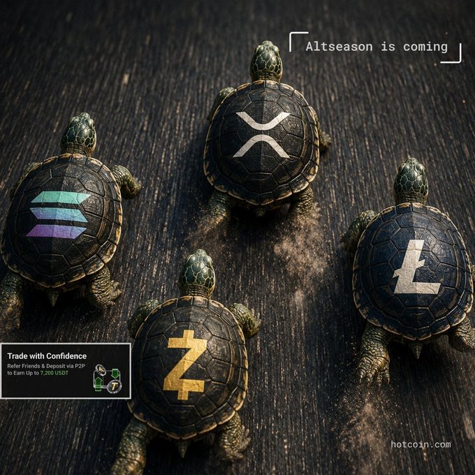 An advertisement featuring four bronze turtle figurines with cryptocurrency symbols (Solana, XRP, Litecoin, and Zcash) on their shells, alongside text reading 'Altseason is coming' and 'Trade with Confidence' from hotcoin.com.