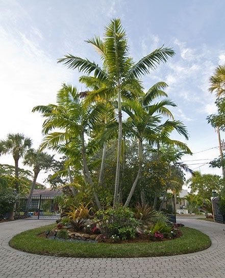 A landscaped roundabout featuring tall royal palm trees surrounded by tropical plants and a circular paved walkway under a partly cloudy sky.