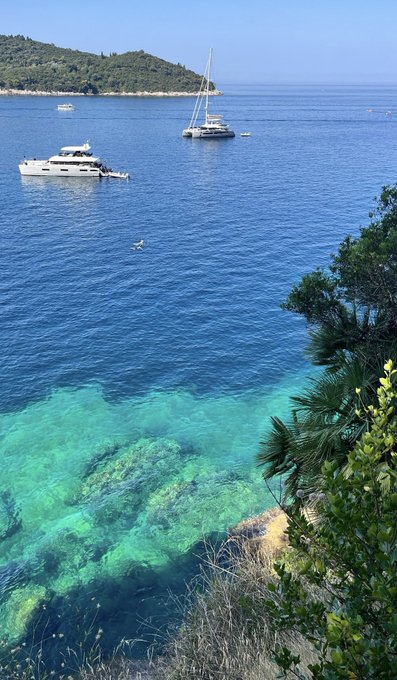 An aerial coastal view showing crystal-clear turquoise waters revealing rocks below, with a motor yacht and a catamaran anchored in the deeper blue sea, framed by green palm foliage in the foreground.