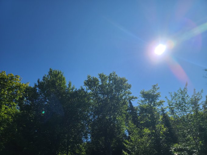 Bright sunny sky with the sun shining over the tops of green trees, creating a lens flare effect.