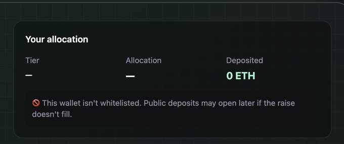 A dark interface panel titled 'Your allocation' shows '0 ETH' deposited, with a warning stating 'This wallet isn't whitelisted. Public deposits may open later if the raise doesn't fill.'