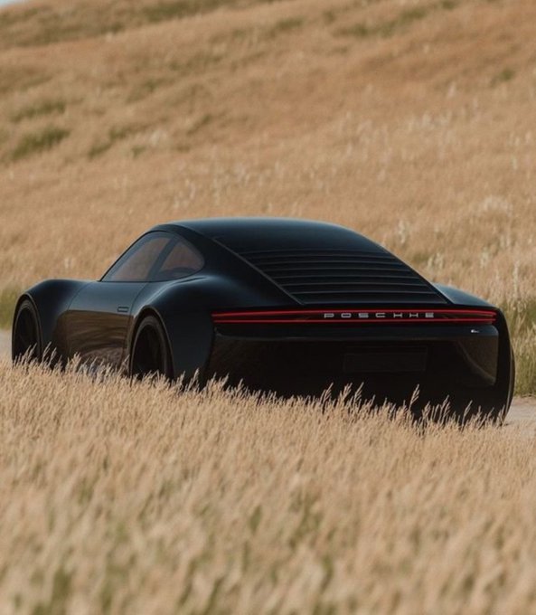 A sleek black Porsche sports car parked in a field of tall golden grass, with 'PORSCHE' visible on the rear.
